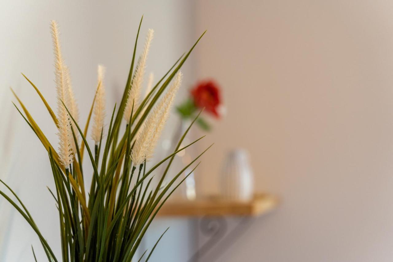 Apartamenty Nad Niwka بييلسكو بياوا المظهر الخارجي الصورة
